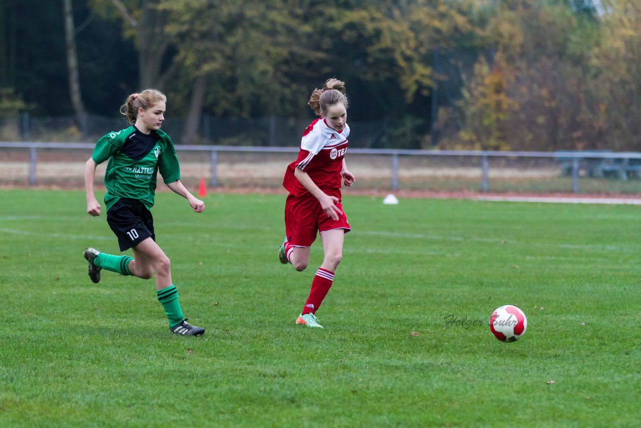 Bild 101 - C-Juniorinnen Kaltenkirchener TS - SV Bokhorst : Ergebnis: 1:2